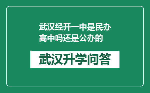 武汉经开一中是民办高中吗还是公办的