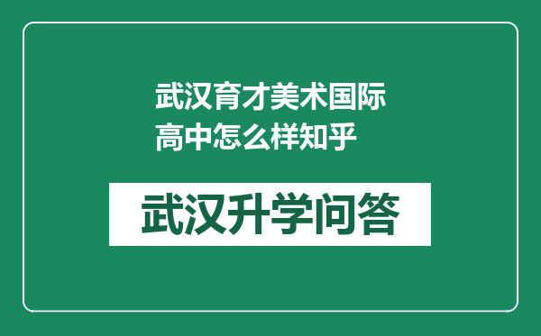 武汉育才美术国际高中怎么样知乎