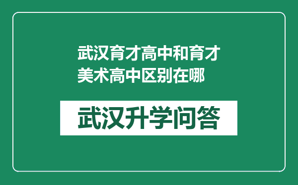 武汉育才高中和育才美术高中区别在哪