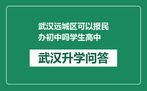 武汉远城区可以报民办初中吗学生高中