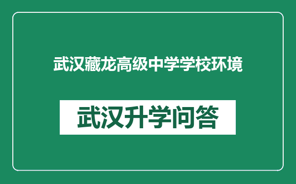 武汉藏龙高级中学学校环境