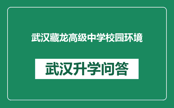 武汉藏龙高级中学校园环境