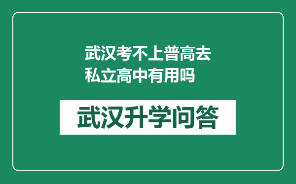 武汉考不上普高去私立高中有用吗