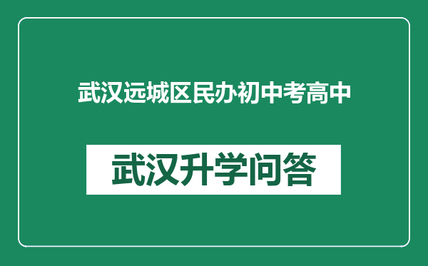 武汉远城区民办初中考高中