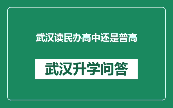 武汉读民办高中还是普高