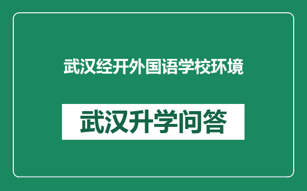 武汉经开外国语学校环境