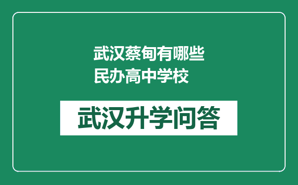 武汉蔡甸有哪些民办高中学校