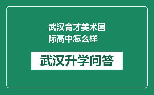 武汉育才美术国际高中怎么样