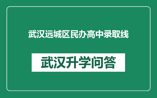 武汉远城区民办高中录取线