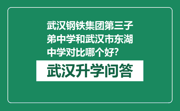 武汉钢铁集团第三子弟中学和武汉市东湖中学对比哪个好？