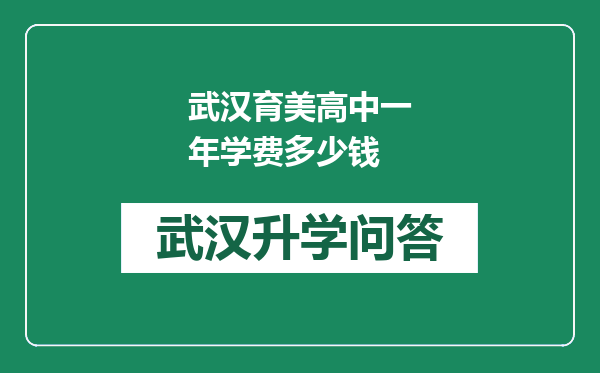 武汉育美高中一年学费多少钱