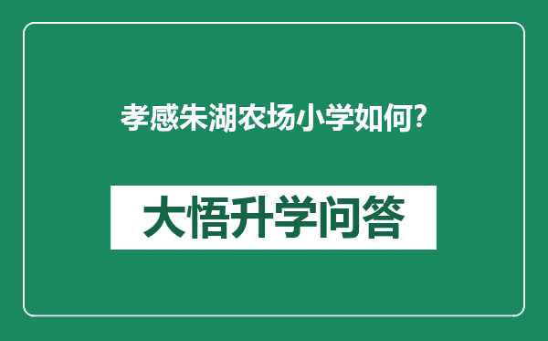 孝感朱湖农场小学如何？