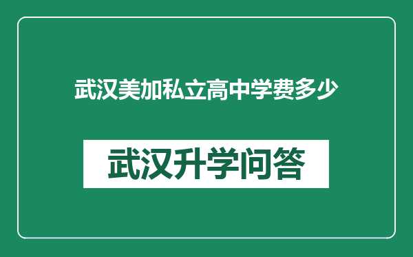 武汉美加私立高中学费多少