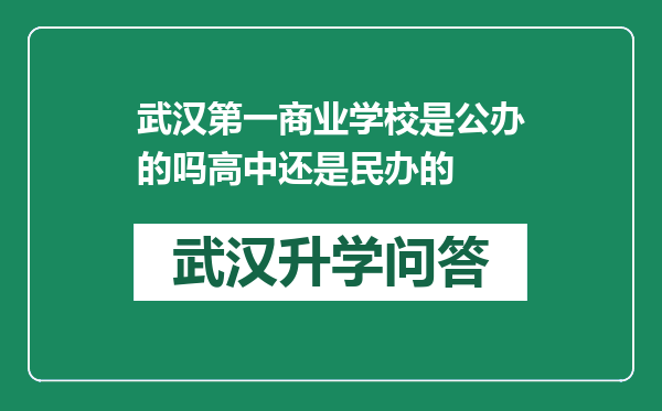 武汉第一商业学校是公办的吗高中还是民办的