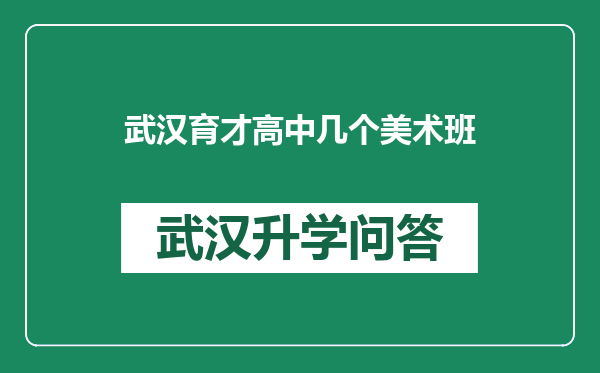 武汉育才高中几个美术班