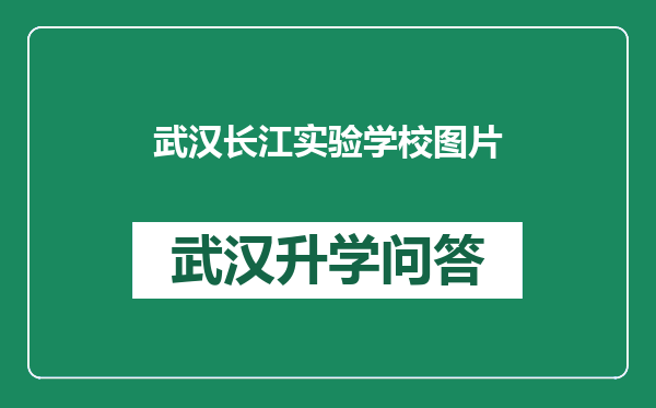 武汉长江实验学校图片