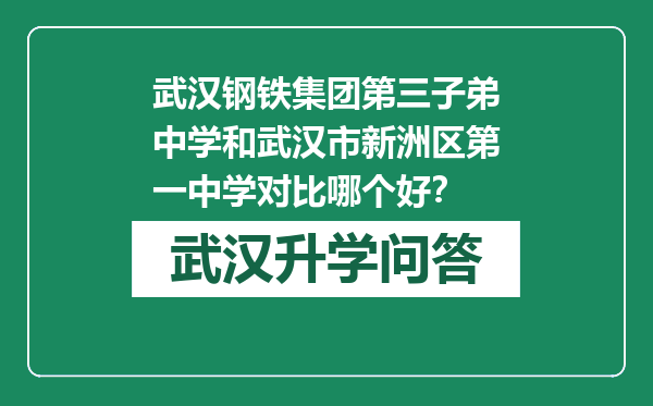 武汉钢铁集团第三子弟中学和武汉市新洲区第一中学对比哪个好？