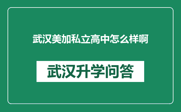 武汉美加私立高中怎么样啊