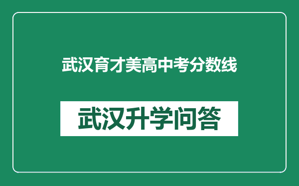 武汉育才美高中考分数线