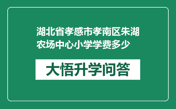 湖北省孝感市孝南区朱湖农场中心小学学费多少