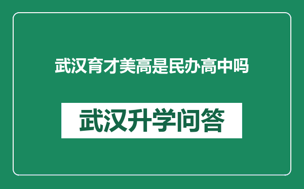 武汉育才美高是民办高中吗