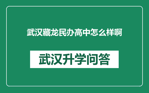 武汉藏龙民办高中怎么样啊