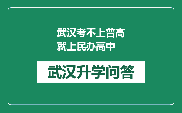 武汉考不上普高就上民办高中