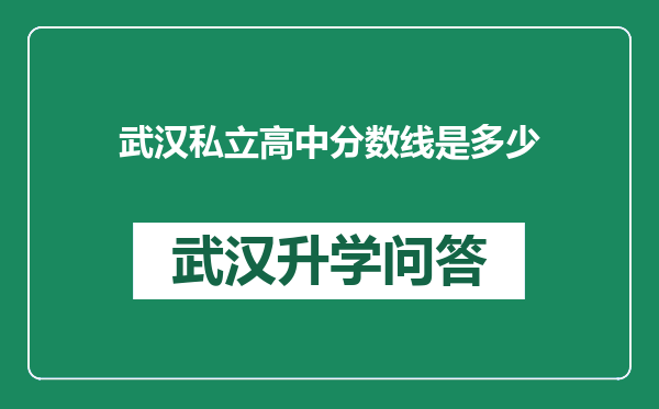 武汉私立高中分数线是多少