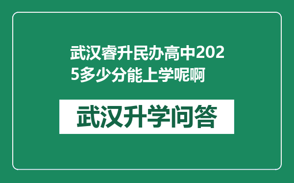 武汉睿升民办高中2025多少分能上学呢啊