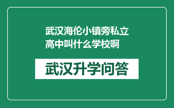 武汉海伦小镇旁私立高中叫什么学校啊