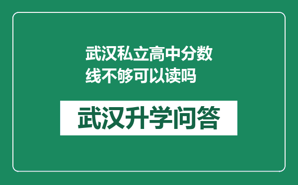 武汉私立高中分数线不够可以读吗