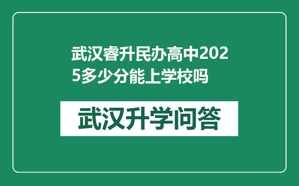 武汉睿升民办高中2025多少分能上学校吗