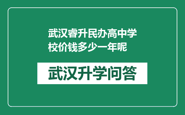 武汉睿升民办高中学校价钱多少一年呢