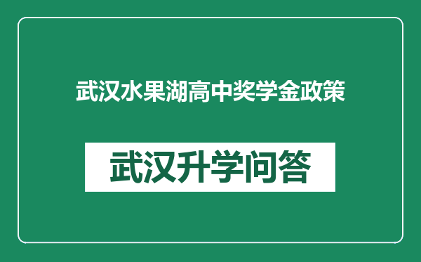 武汉水果湖高中奖学金政策