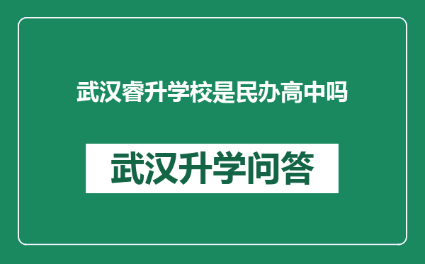 武汉睿升学校是民办高中吗