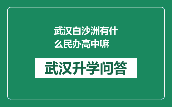 武汉白沙洲有什么民办高中嘛