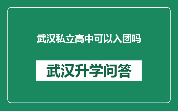 武汉私立高中可以入团吗