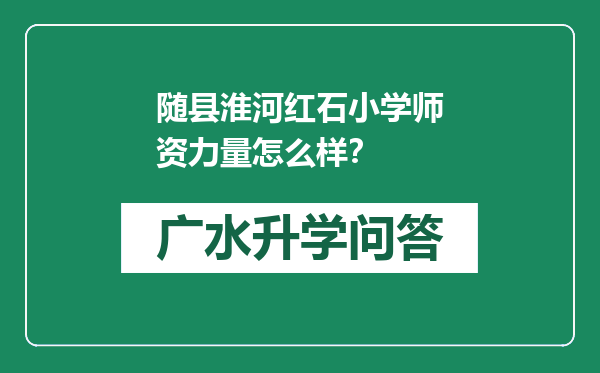 随县淮河红石小学师资力量怎么样？