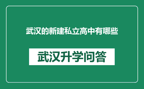 武汉的新建私立高中有哪些