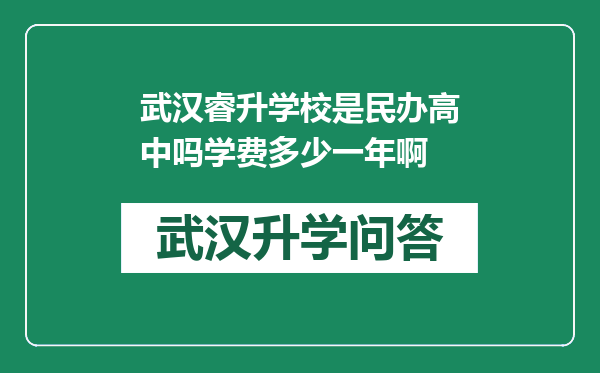 武汉睿升学校是民办高中吗学费多少一年啊