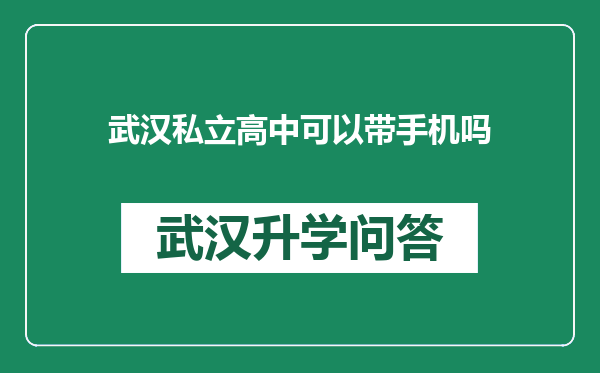 武汉私立高中可以带手机吗