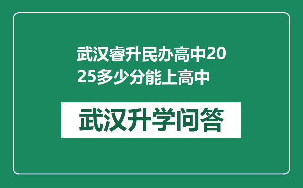 武汉睿升民办高中2025多少分能上高中