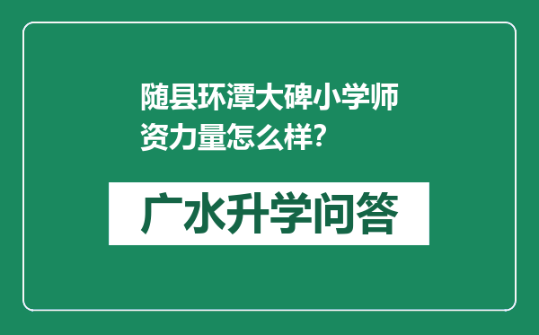 随县环潭大碑小学师资力量怎么样？