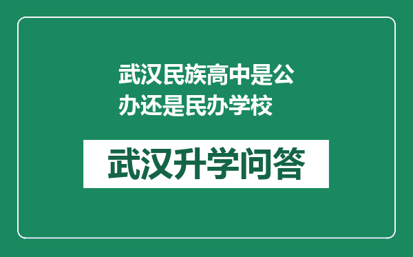 武汉民族高中是公办还是民办学校