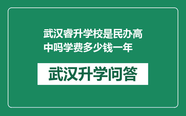 武汉睿升学校是民办高中吗学费多少钱一年