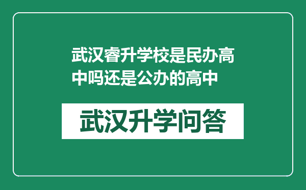 武汉睿升学校是民办高中吗还是公办的高中