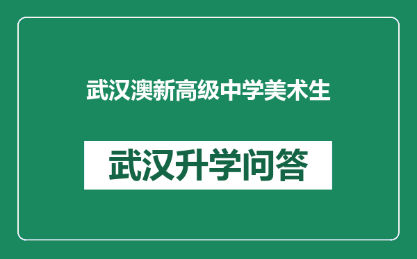 武汉澳新高级中学美术生