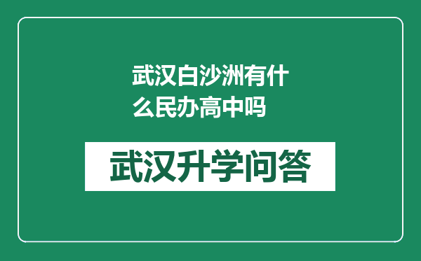 武汉白沙洲有什么民办高中吗