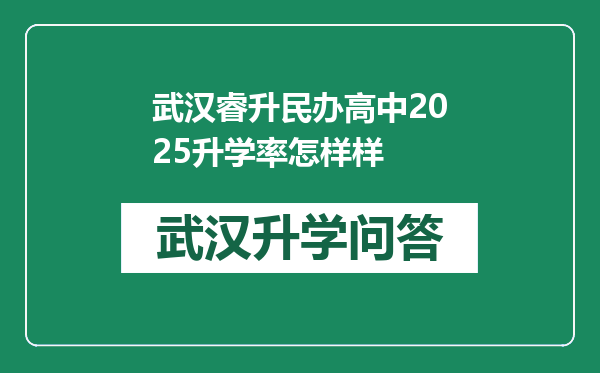 武汉睿升民办高中2025升学率怎样样