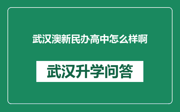 武汉澳新民办高中怎么样啊